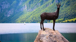 EYX3W4 Lake Bohinj (Bohinjsko jezero), Triglav National Park, Upper Carniola, Slovenia. Statue of Zlatorog on the shore of the lake.