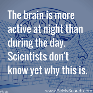 the-brain-is-more-active-at-night-than-during-the-day-human-body-facts-scientists-dont-know-yet-why-this-is-human-body-facts