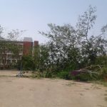 cyclone pic 3
