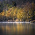 Autumn Forest Reflected in the Placid Waters of a Lagoon