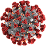 2019-nCoV-CDC-23312_without_background