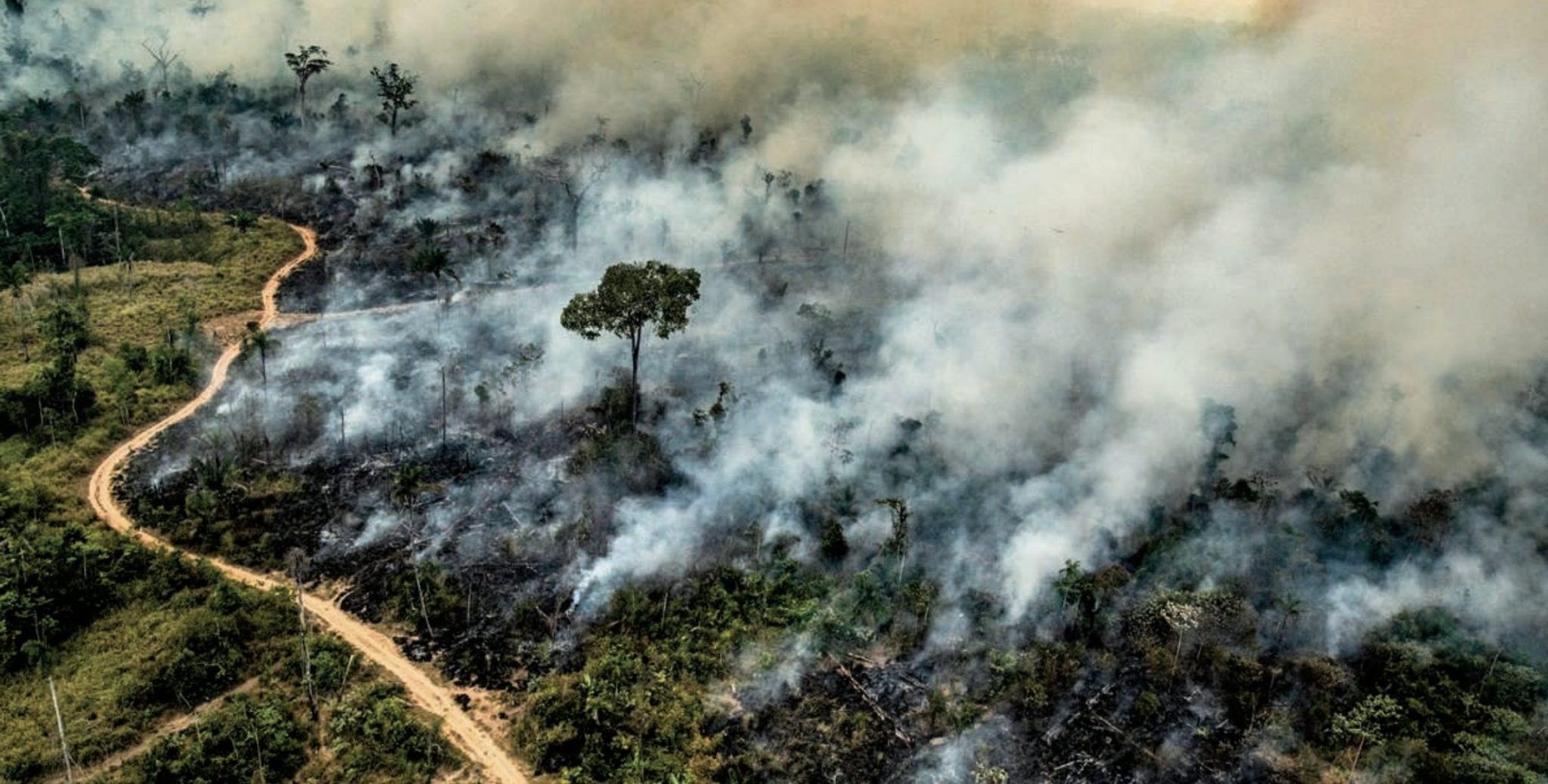 forestfire