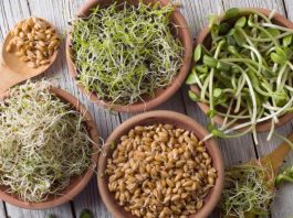 Varieties of sprouts