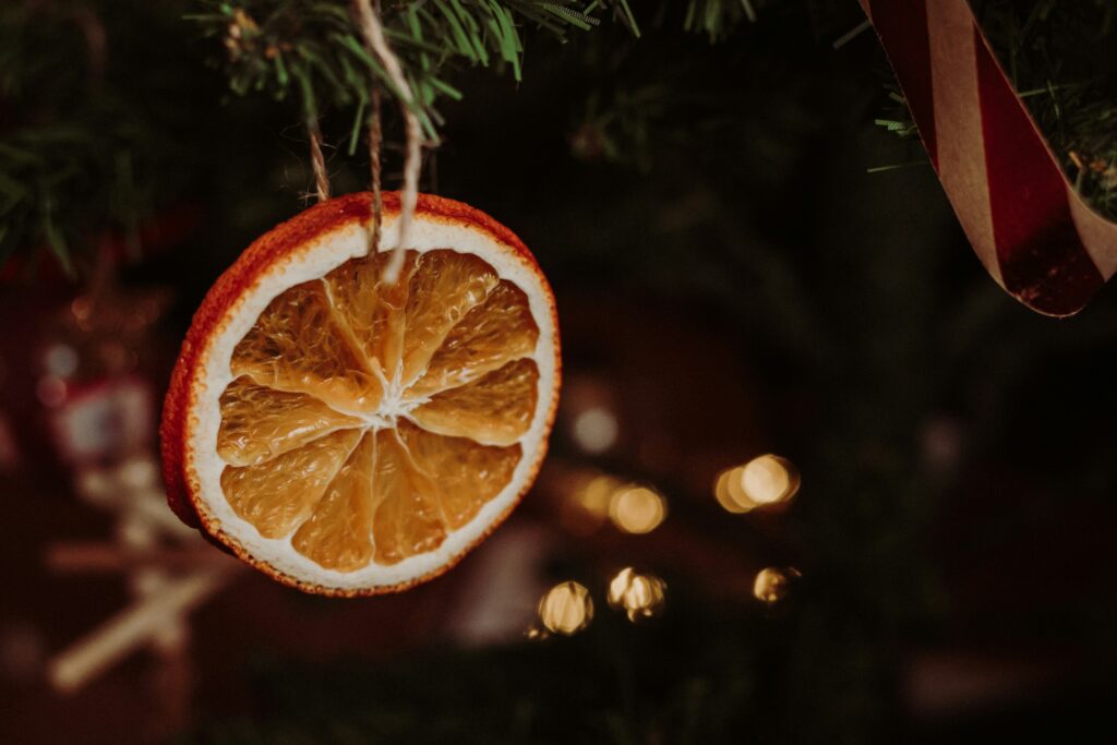 Dried Citrus Ornaments for Christmas Trees: The Only DIY Guide You Need dried citrus ornaments for Christmas
