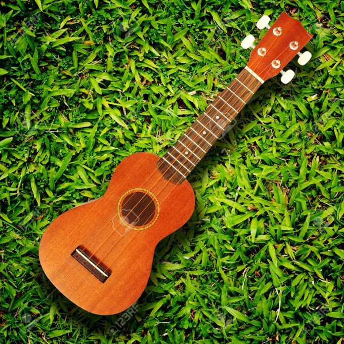 ukulele on green grass texture Stock Photo ukulele