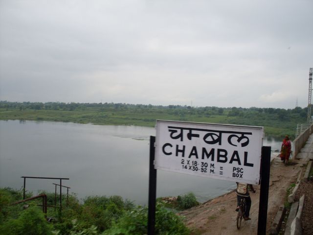 chambal-river_578108b9beb87