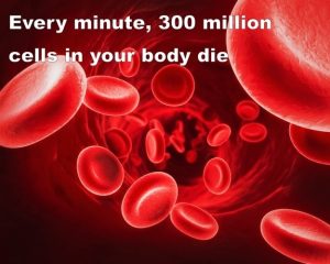 amazing-facts-about-human-body-12