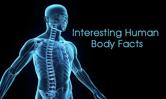 Mind Blowing Facts About Human Body