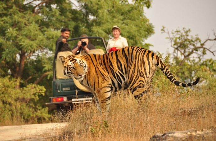 Jim Corbett