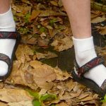 Sandals with socks