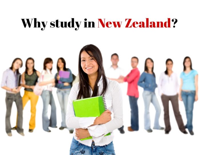 study in New Zealand