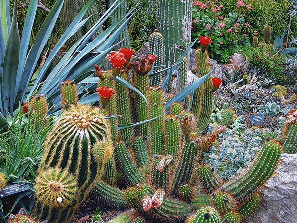 Auckland Botanic Gardens