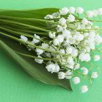 Bouquet Lily of the Valley