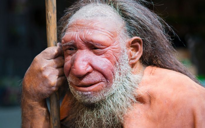 Neanderthal