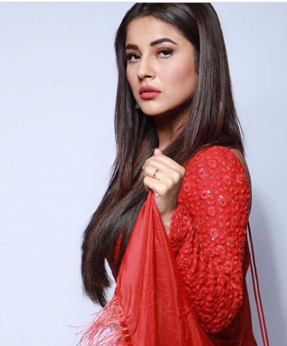 Shehnaz Gill Wiki, Age, Personal Details, Affairs, Biography, and more