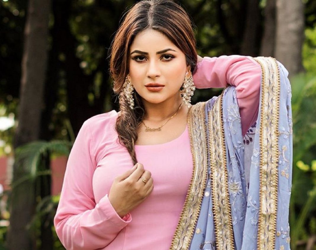 Shehnaz Gill Wiki, Age, Personal Details, Affairs, Biography, and more