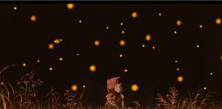 Setsuko with the fireflies