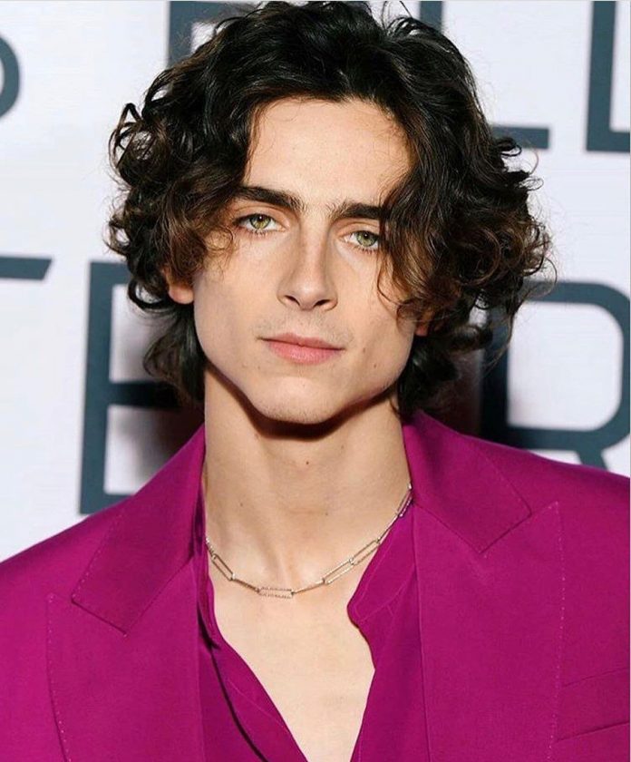 Timothee Chalamet Personal Life, Career and More.