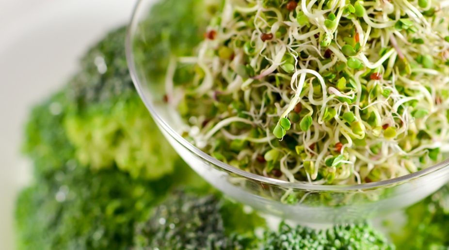 sprouts in a bowl