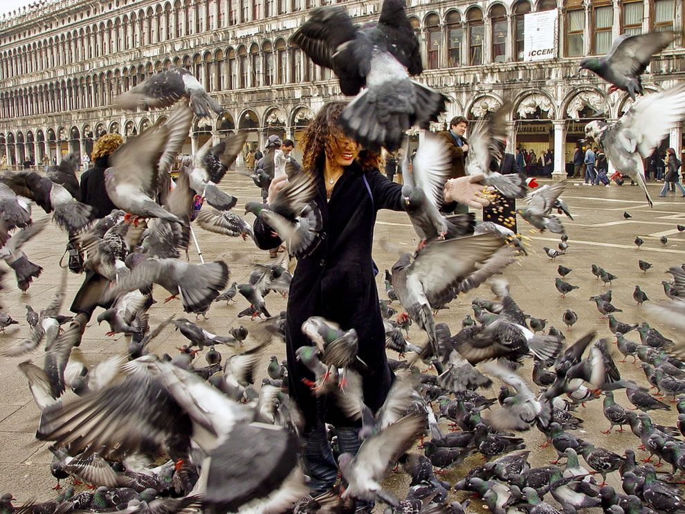 Feeding the Pigeons in Venice