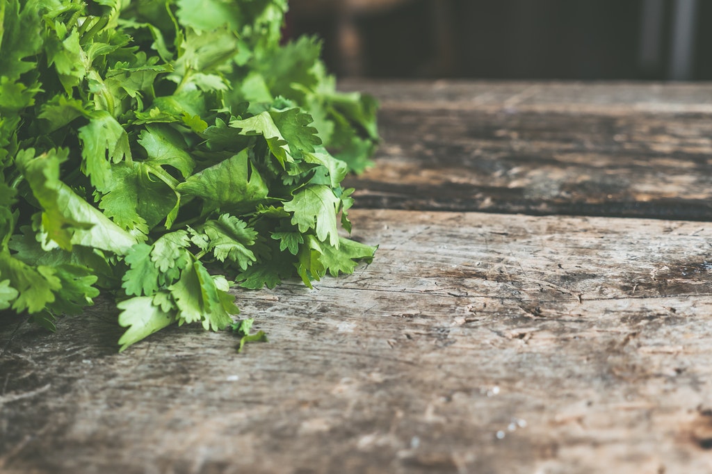 Fresh Coriander leaves