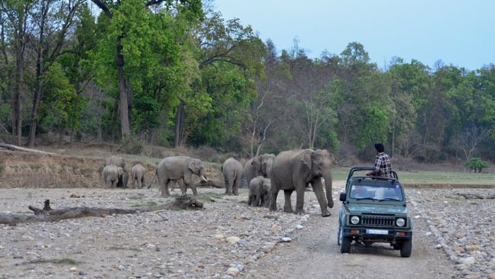 Rishikesh- A place worth to put in your bucket list!