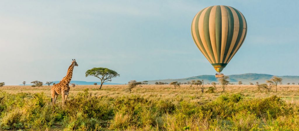 serengeti balloon giraffe 1600x700 cc
