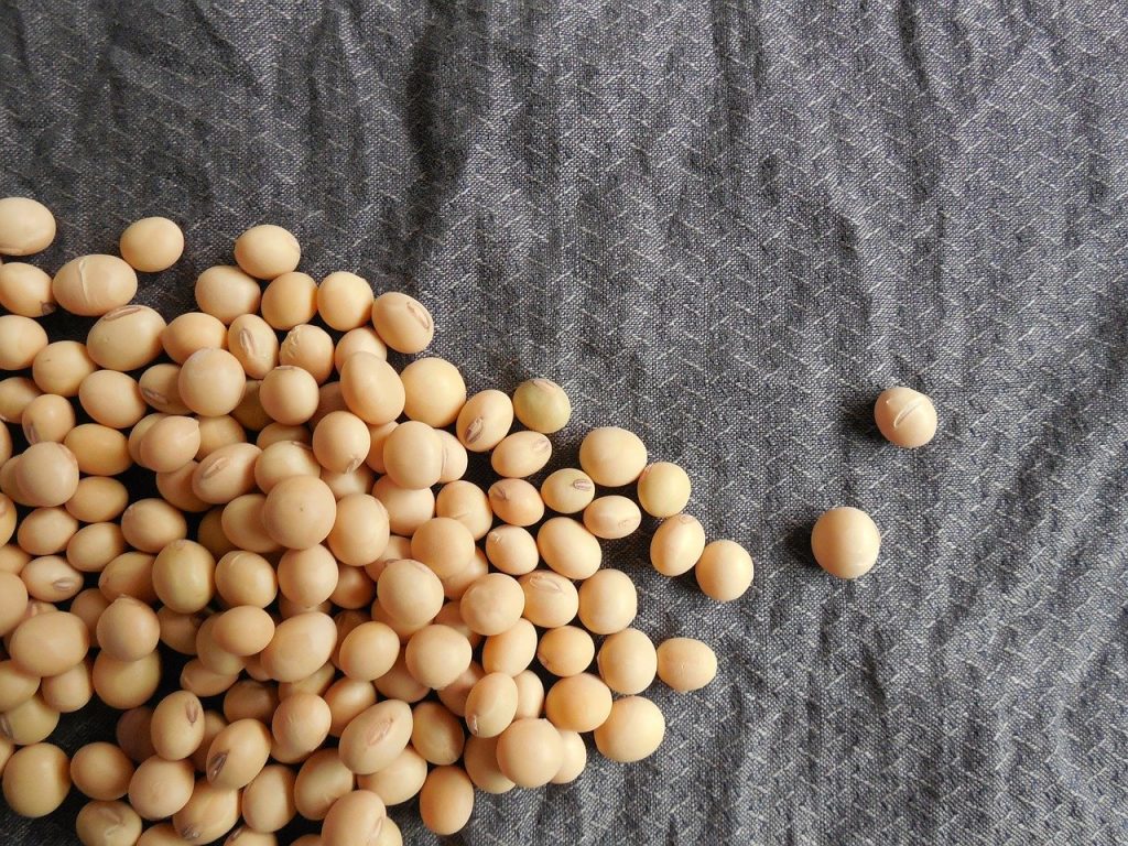 soybeans 182294 1280