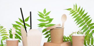 Eco-Friendly Disposable Tableware
