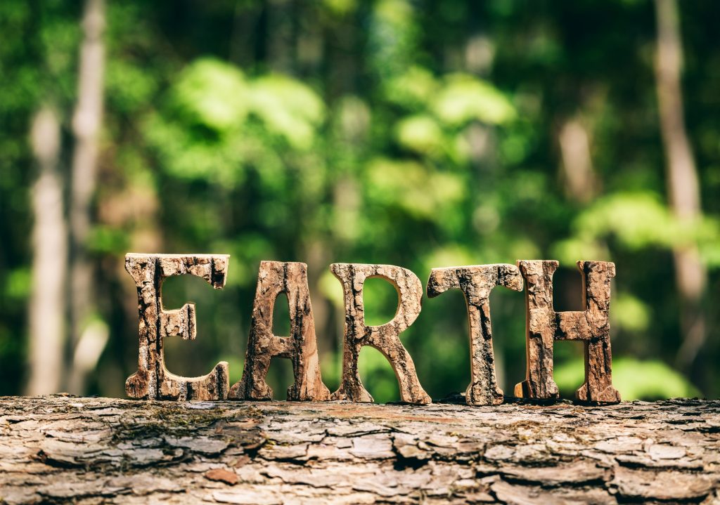 EARTH writing made from wooden letters in the forest