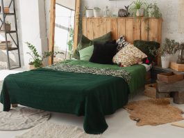 eco-lodges