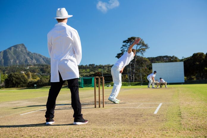 Sports team playing cricket on pitch