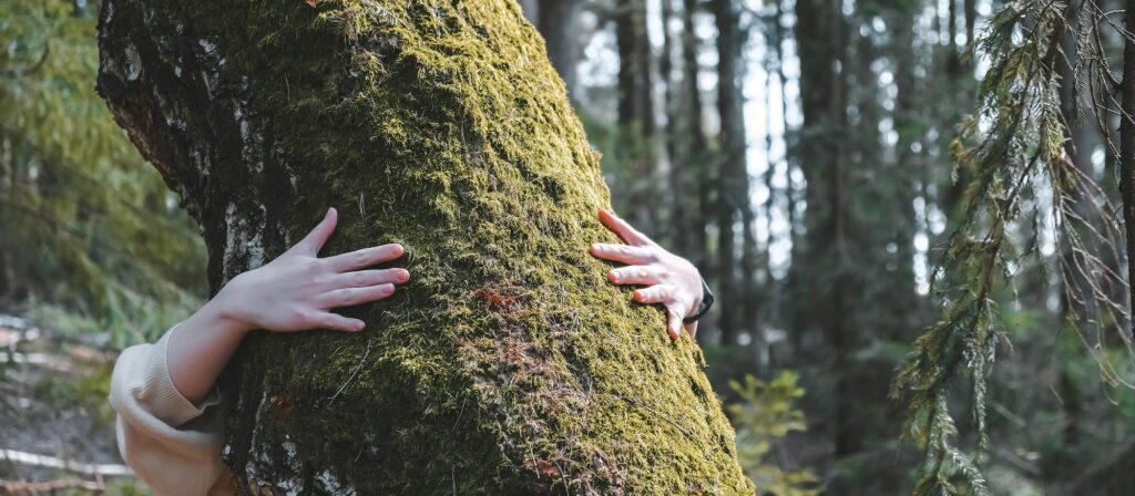 woman love nature hugging a pine tree, no deforestation concept and earth's day