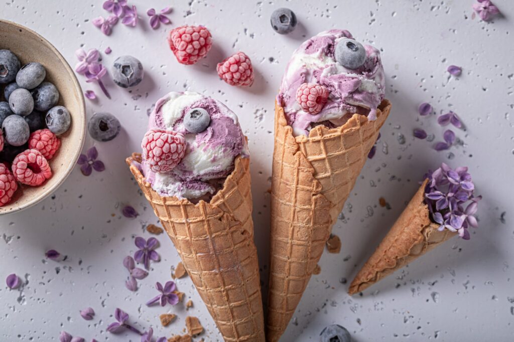 Tasty ice cream with blueberries. Flower flavour ice cream