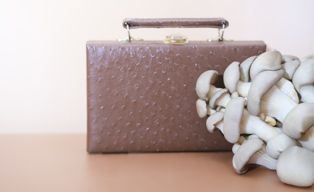 bag made of mycelium leather, bio based alternative to leather