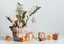15 Pocket-Friendly Sustainable Decor for Christmas and New Year Houseplant Christmas tree. Sustainable gift boxes packed in paper and twine. Eco Christmas decor